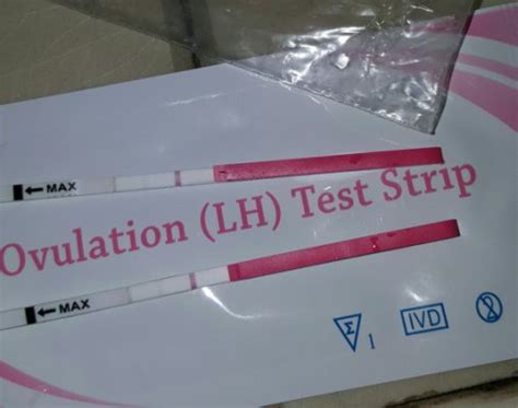 If you want to increase your chances of pregnancy, it's important to use them correctly. Ovulation test faint positive line day after period ...