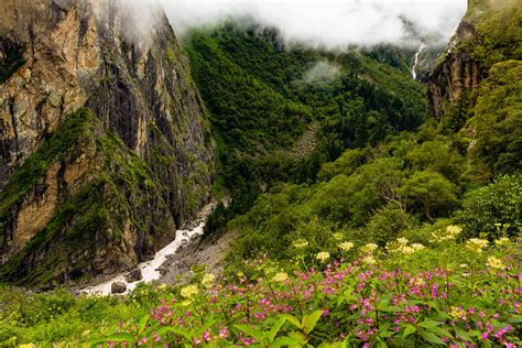 Valley Of Flowers Trek Best Uttarakhand Treks Offbeat Travel