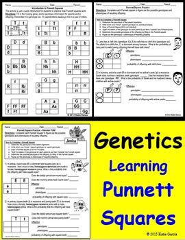Examine the following punnett squares and circle those that are correct. Punnett Square Practice #3 Spongebob Squarepants / Punnett ...