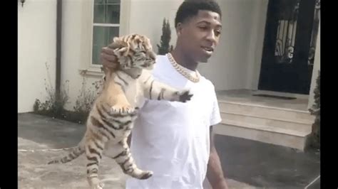 Kayden is the eldest kid of nba youngboy. Nba Youngboy Finds Out . . . His Baby Mama Lied . . . His ...