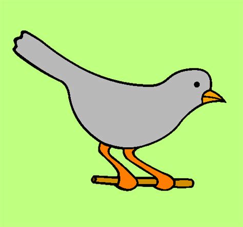 Desenho De Pássaro 4 Pintado E Colorido Por Usuário Não Registrado O