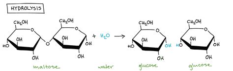 Define And Explain Hydrolysis With Examples And Latest Expariments