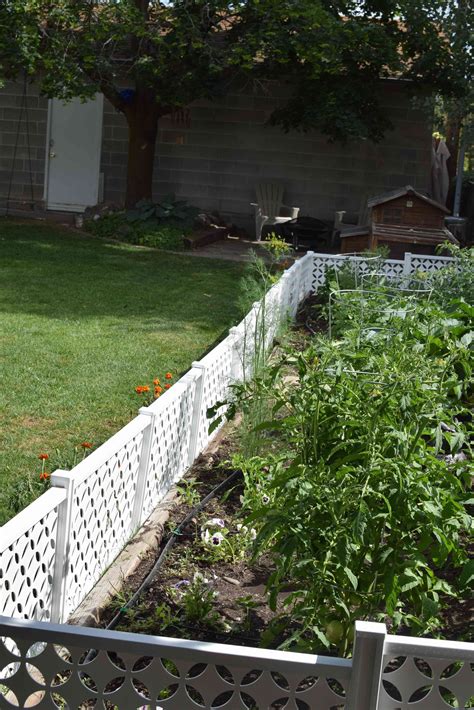 How much fencing is needed to enclose a garden. How to Enclose Your Garden To Protect From Critters