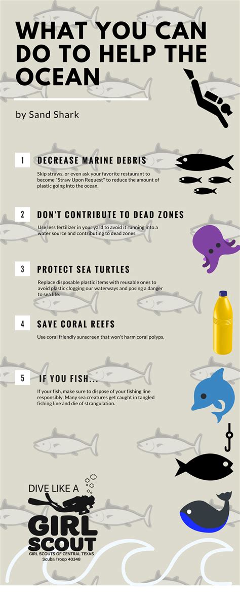 What Can You Do To Save The Ocean In 2020 Ocean Projects Ocean