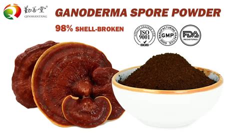 Organic Linzhi Ganoderma Lucidum Shell Broken Spore Reishi Mushroom