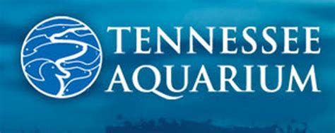 Tennessee Aquarium Chattanooga Free Admission For Teachers 1 Guest