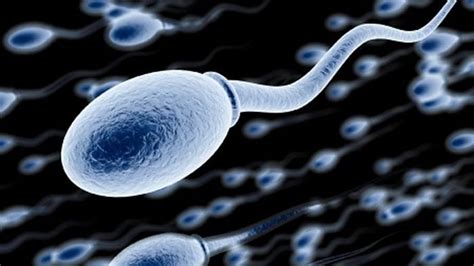 Could Plastics Be Contributing To A Declining Sperm Count Abc Radio National