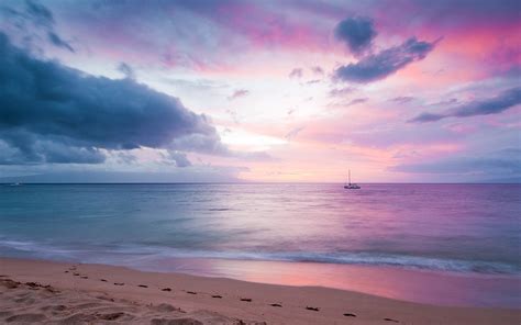 Pink Sunset Beach Wallpaper Hd Picture Image