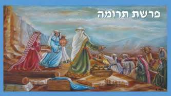Perlas De La Torah Parashat Terumah Youtube