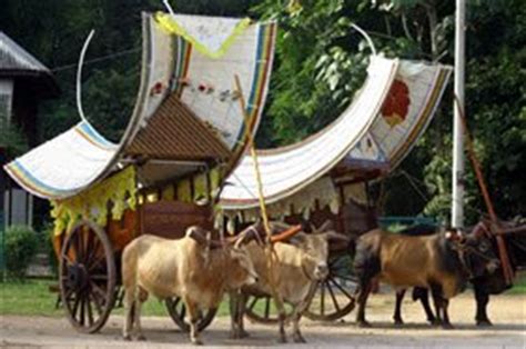 We did not find results for: Laman Nurani: BECA & KERETA LEMBU