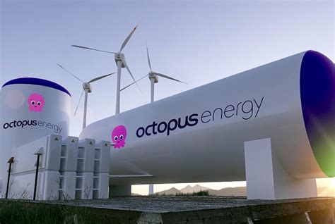 Green Hydrogen Production Permit Granted To Octopus Hydrogen