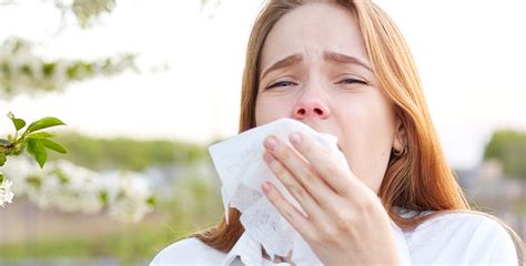 Why Do We Sneeze Bon Secours Blog
