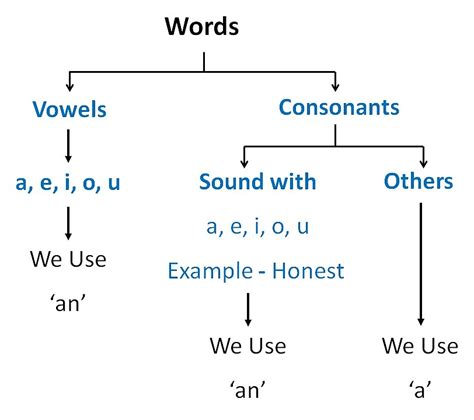 Difference Between Vowels And Consonants Infographic