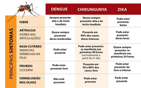 Quanto Tempo Demora Para As Plaquetas Subirem Depois Da Dengue