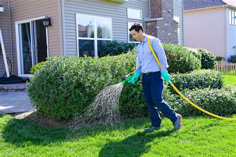 Setting Up Your Lawn Care Franchise For Success The Edge From The