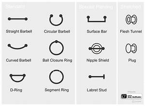 Types Of Piercing Jewelry Types Of Ear Piercings Piercing Piercings
