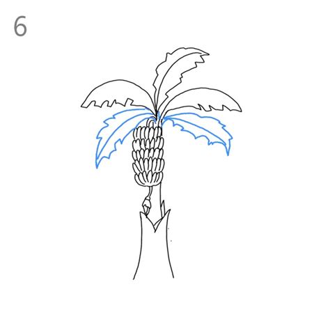 How To Draw A Banana Tree Step By Step Easy Drawing Guides Drawing