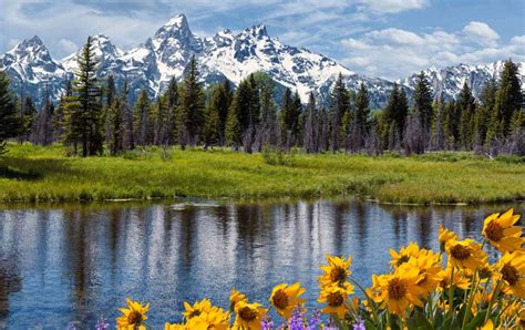 Four Advantages To Visiting Grand Teton In June And Three Challenges