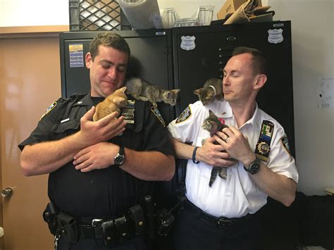 NYPD 60th Precinct on Twitter: "Police precinct or animal rescue