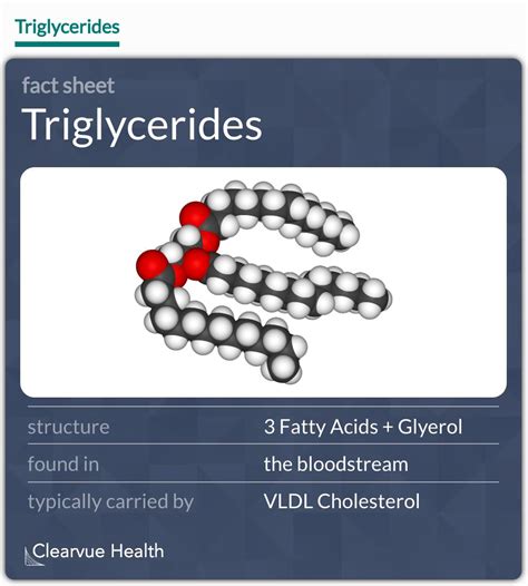 What Are The Risks Of High Triglycerides Infographics