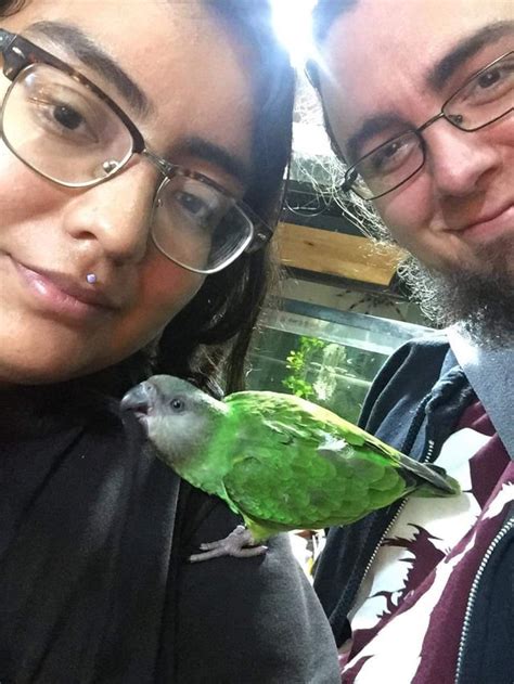Today My Wife And I Legitimately Fell In Love With This Senegal Parrot We Have A Week Before We
