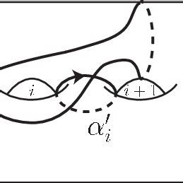 simple closed curves δ and α Download Scientific Diagram