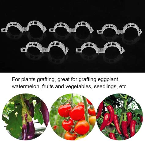 Haofy 100pcs Plant Support Garden Trellis Clips Plastic Plant Grafting