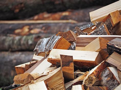 Book your zip line or adventure course experience in beautiful flagstaff, az. Firewood cutting season extended through end of February ...