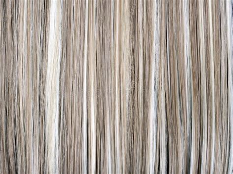 Blonde Hair Blond Hair Texture Stock Image Image Of