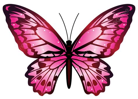 Hermosa Mariposa Rosa Vector Png Dibujos Hermoso Rosado Mariposa Png