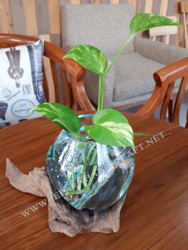 Sangat cantik stok banyak ya gan. Jual Hiasan Pot Aquarium Kaca Akar Jati Unik Terbaru Harga Murah