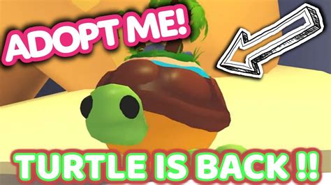 Adopt Me Turtle Is Back Adoptme Turtle Youtube