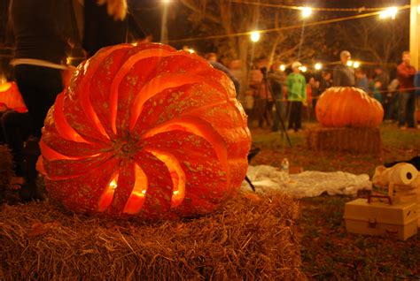 The Great Pumpkin Carve In Chadds Ford Pennsylvania — Plinth Et Al