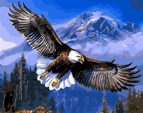 Mighty Eagle Canvastly Diy Paint By Numbers Eagle Painting Bald