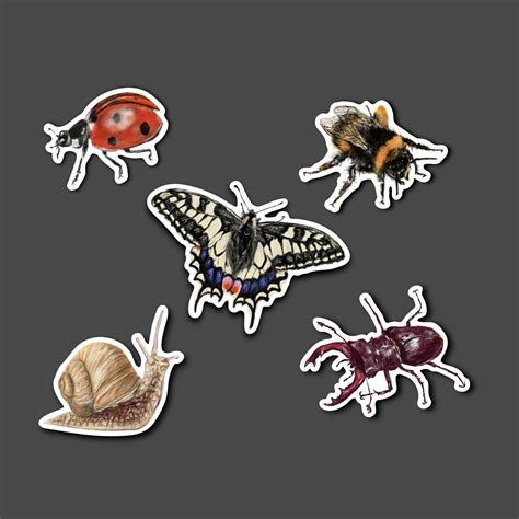 Insect Vinyl Stickers Bug Stickers Die Cut Vinyl Insect Etsy