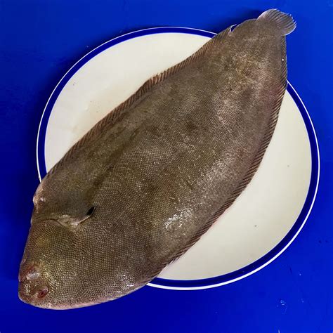Large Black Sole Skinless Eat More Fish Nationwide Delivery
