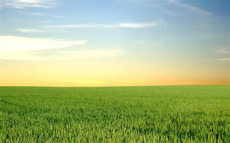 Download Daily Wallpaper Green Fields And Blue Skies I Like To Waste