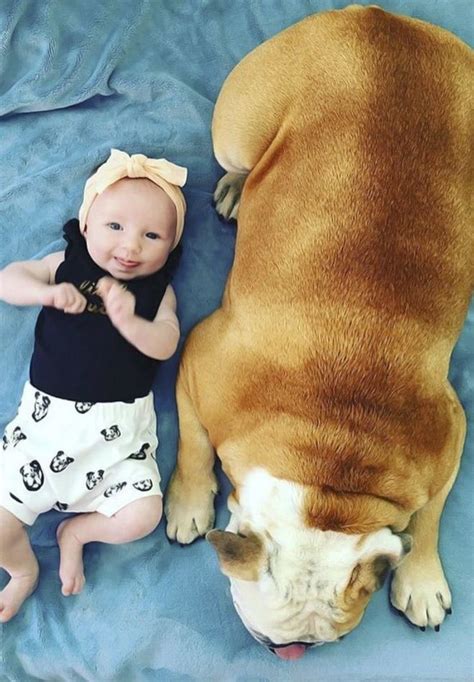 Adorable Dog And Baby Photos Thatll Melt Your Heart Cute Dogs Baby