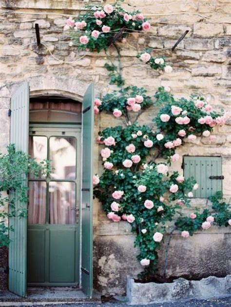 10 Easy Tips To Plant A Climbing Rose Climbing Roses Beautiful Doors