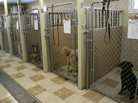 30 Best Indoor Dog Kennel Ideas Page 7 The Paws