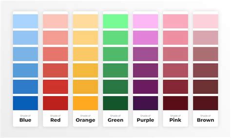 Premium Vector Creative Color Palette With Color Shades