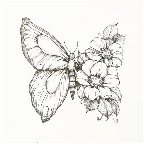 Butterfly And Flower Tattoo Drawings