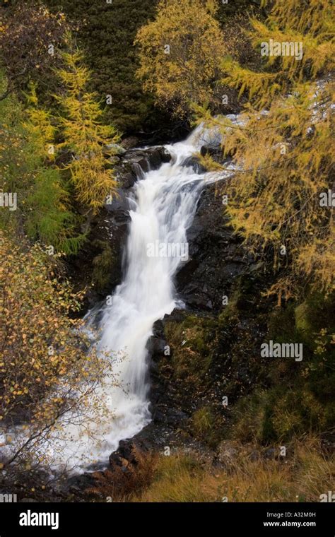 Mountain Waterfall With A Larch Trees In Golden Autumn Colours Stock