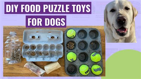 Homemade Dog Toys For Boredom Wow Blog