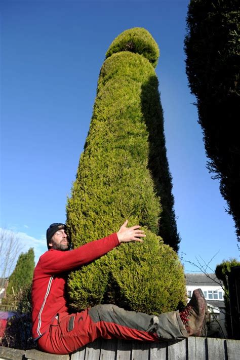 Chris Bishop Trims Garden Foliage Into Shape Of 18 Ft Penis Metro News