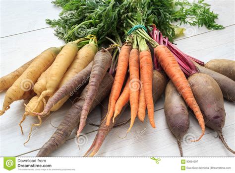 Bunch Of Organic Heirloom Carrot Varieties Of Purple Orange An Stock