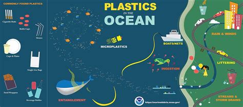 Infographic A Guide To Plastic In The Ocean SAFETY SEA