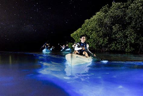 Unforgettable Places To Visit In Puerto Rico Besides San Juan Bioluminescent Bay