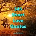 245 Short Love Quotes For Him and Her