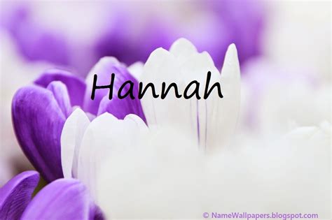 Hannah Name Wallpapers Hannah Name Wallpaper Urdu Name Meaning Name